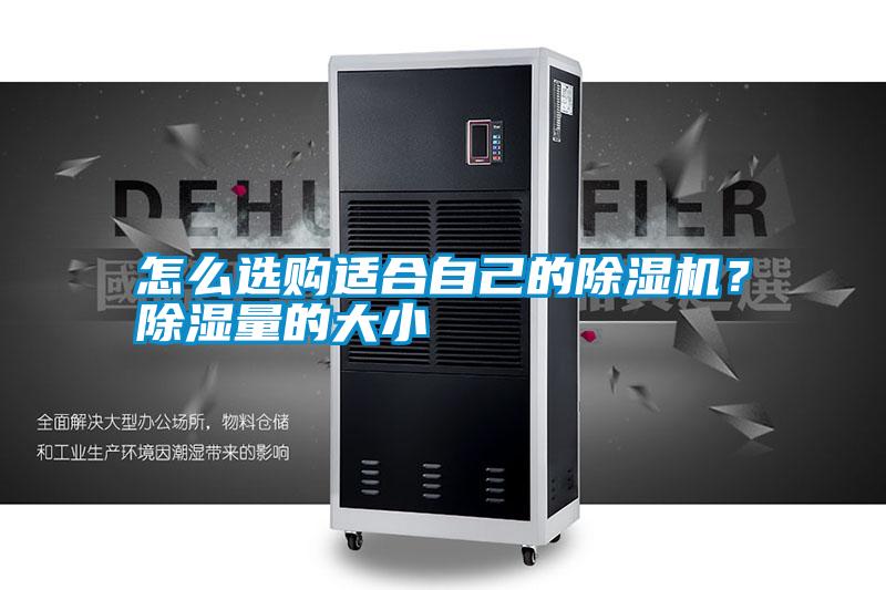 国产精品欧美激情视频 怎么选购适合自己的除湿机？除湿量的大小