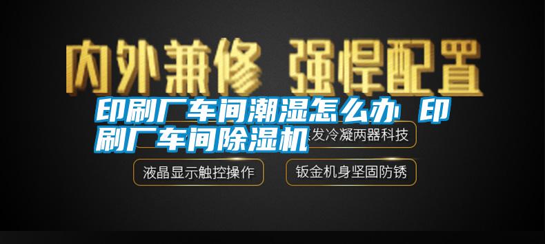 国产精品探花在线观看 印刷厂车间潮湿怎么办 印刷厂车间除湿机