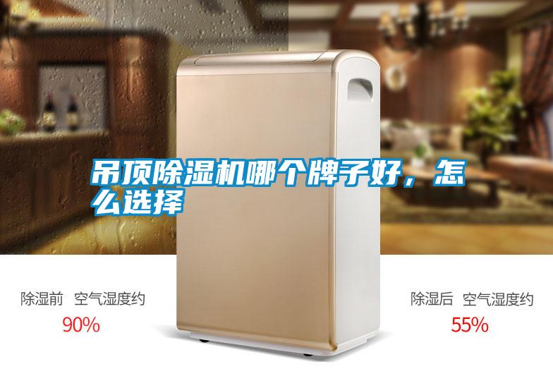 国产精品欧美激情视频 吊顶除湿机哪个牌子好，怎么选择