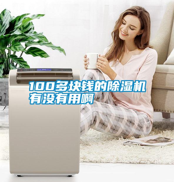 国产精品三级在线观看 100多块钱的除湿机有没有用啊