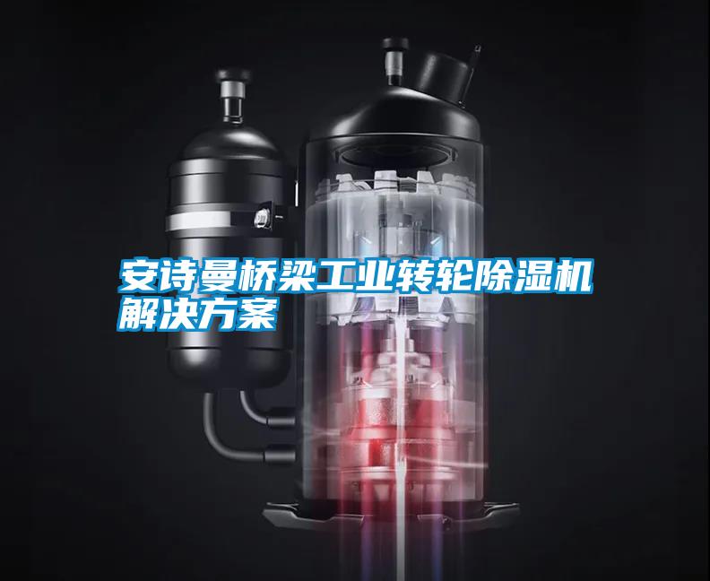 国产精品探花在线观看 安诗曼桥梁工业转轮除湿机解决方案
