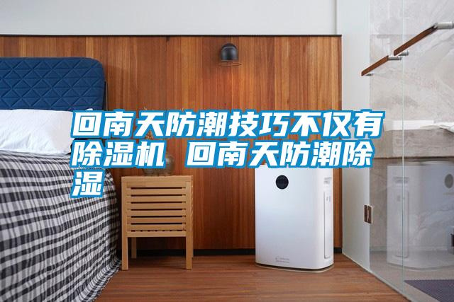 国产精品欧美激情视频 回南天防潮技巧不仅有除湿机 回南天防潮除湿