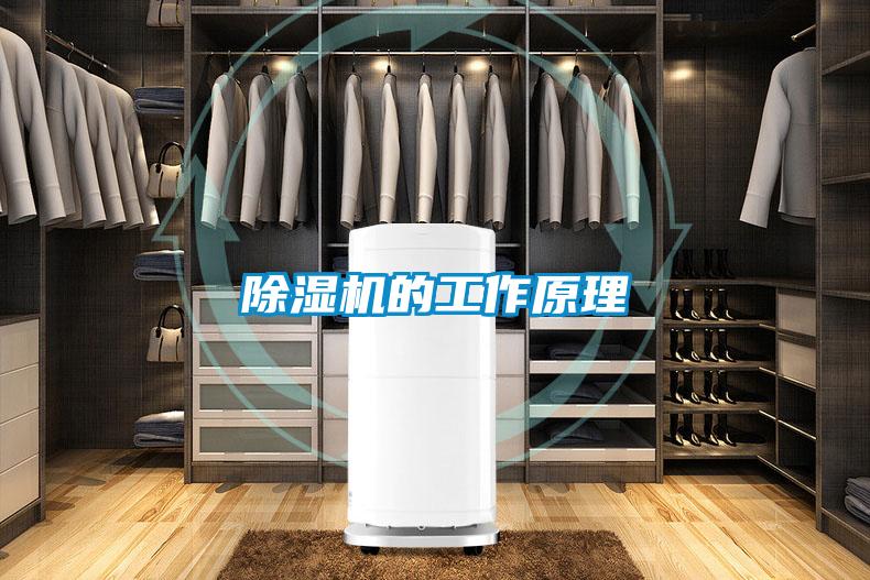 国产精品三级在线观看 除湿机的工作原理