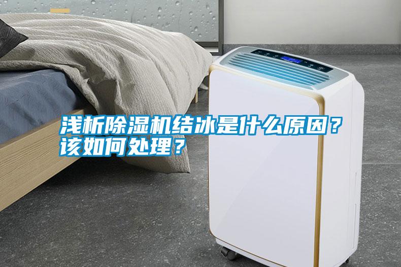 国产精品探花在线观看 浅析除湿机结冰是什么原因？该如何处理？