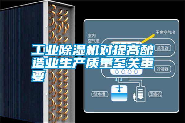 国产精品三级在线观看 工业除湿机对提高酿造业生产质量至关重要