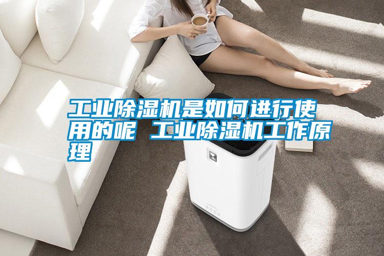国产精品探花在线观看 工业除湿机是如何进行使用的呢 工业除湿机工作原理