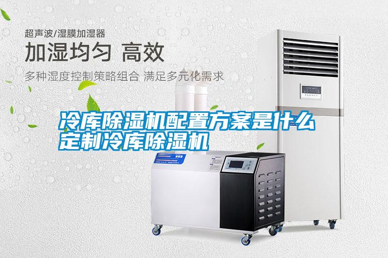 国产精品三级在线观看 冷库除湿机配置方案是什么 定制冷库除湿机