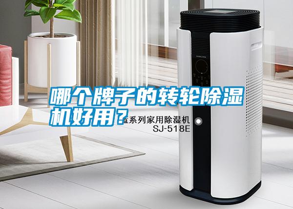 国产精品欧美激情视频 哪个牌子的转轮除湿机好用？