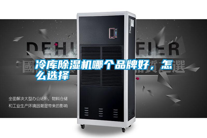 国产精品三级在线观看 冷库除湿机哪个品牌好，怎么选择