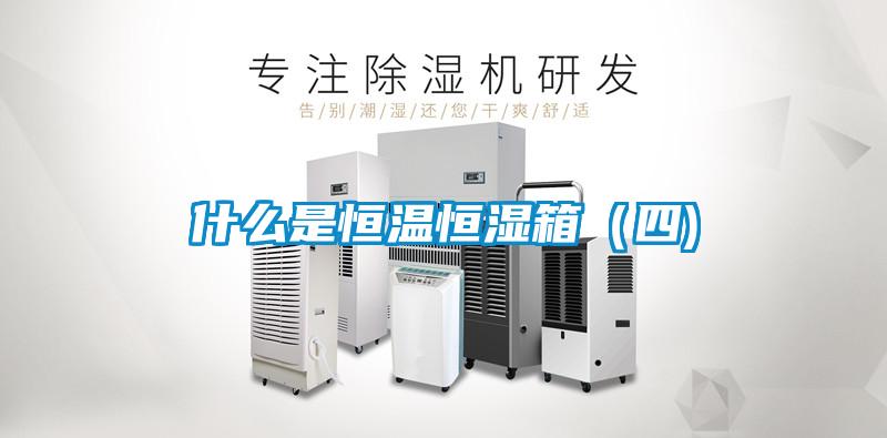 国产精品探花在线观看 什么是恒温恒湿箱（四)