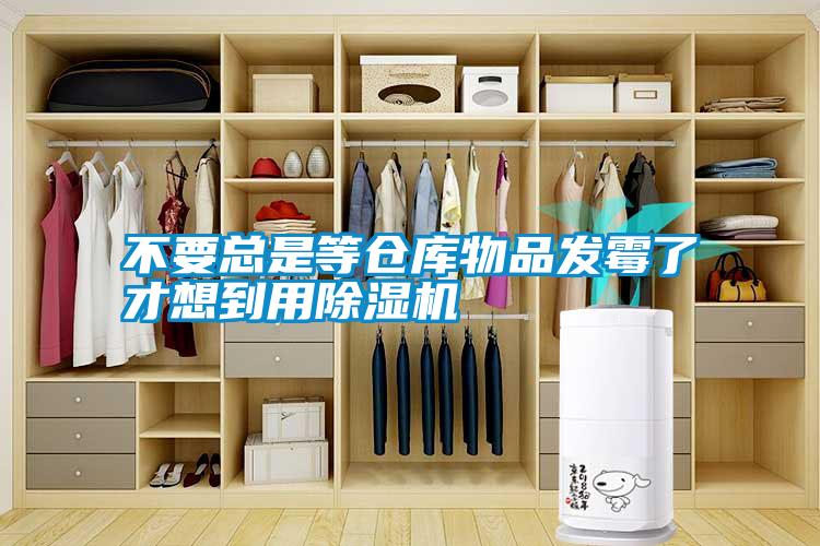 国产精品三级在线观看 不要总是等仓库物品发霉了才想到用除湿机