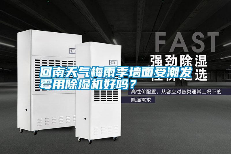 国产精品欧美激情视频 回南天气梅雨季墙面受潮发霉用除湿机好吗？