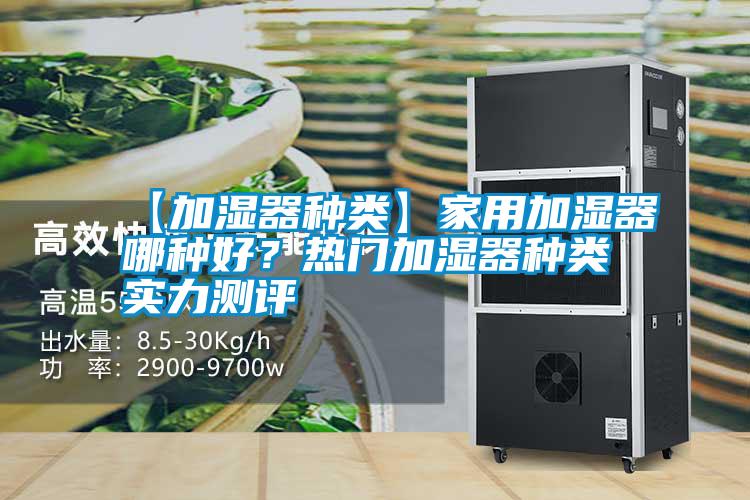 国产精品探花在线观看 【加湿器种类】家用加湿器哪种好？热门加湿器种类实力测评