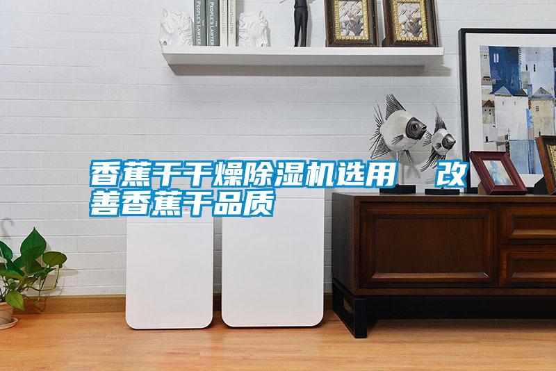 国产精品三级在线观看 香蕉干干燥除湿机选用  改善香蕉干品质