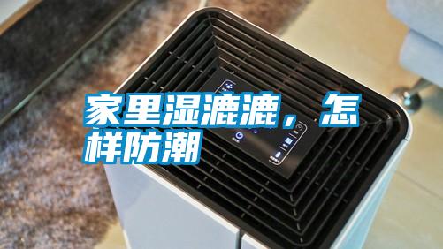 国产精品探花在线观看 家里湿漉漉，怎样防潮
