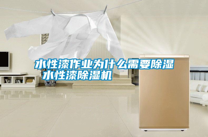 国产精品欧美激情视频 水性漆作业为什么需要除湿 水性漆除湿机