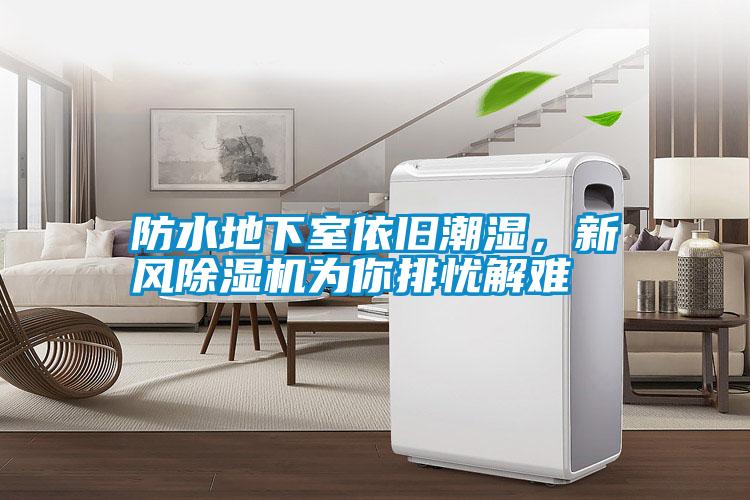 国产精品探花在线观看 防水地下室依旧潮湿，新风除湿机为你排忧解难