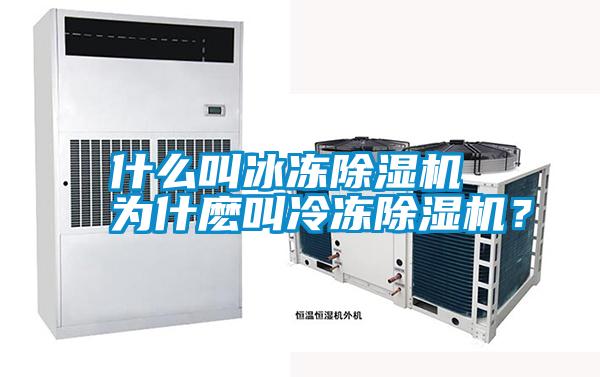 国产精品探花在线观看 什么叫冰冻除湿机 为什麽叫冷冻除湿机？