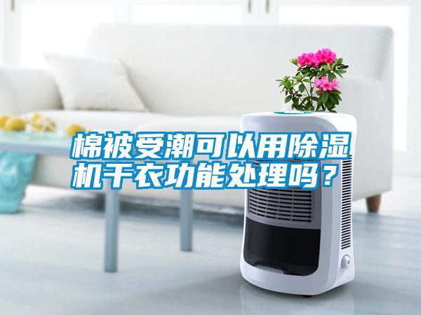 国产精品探花在线观看 棉被受潮可以用除湿机干衣功能处理吗？