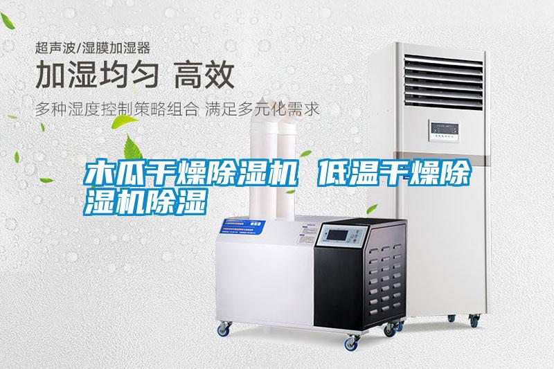 国产精品欧美激情视频 木瓜干燥除湿机 低温干燥除湿机除湿