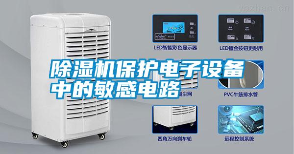 国产精品三级在线观看 除湿机保护电子设备中的敏感电路