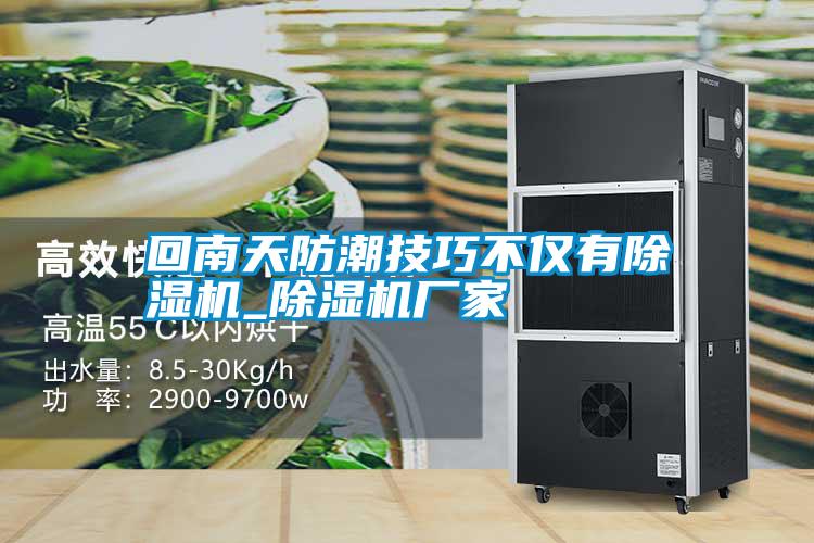 国产精品三级在线观看 回南天防潮技巧不仅有除湿机_除湿机厂家
