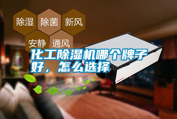 国产精品欧美激情视频 化工除湿机哪个牌子好，怎么选择