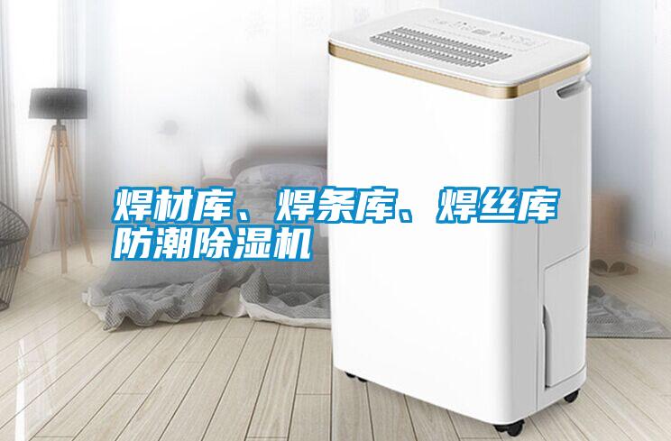 国产精品三级在线观看 焊材库、焊条库、焊丝库防潮除湿机