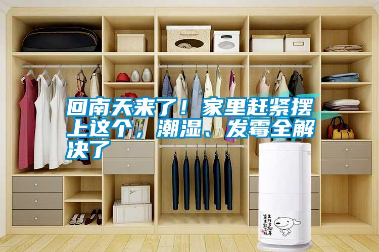 国产精品欧美激情视频 回南天来了！家里赶紧摆上这个，潮湿、发霉全解决了