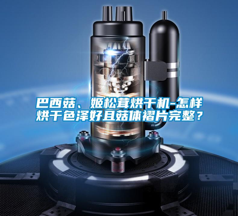 国产精品欧美激情视频 巴西菇、姬松茸烘干机-怎样烘干色泽好且菇体褶片完整？