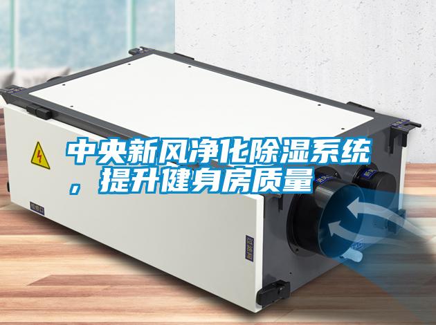 国产精品三级在线观看 中央新风净化除湿系统，提升健身房质量