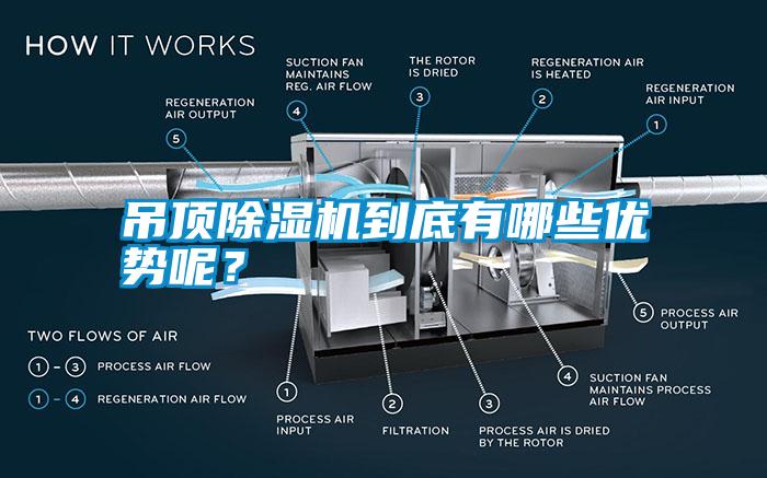 国产精品三级在线观看 吊顶除湿机到底有哪些优势呢？