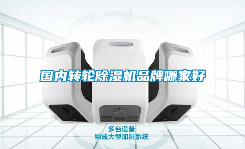 国产精品三级在线观看 国内转轮除湿机品牌哪家好