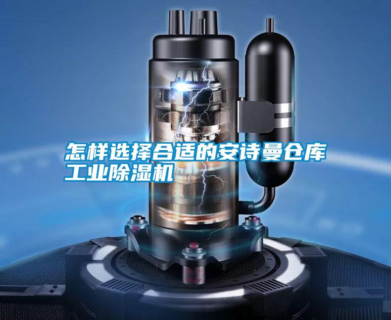 国产精品三级在线观看 怎样选择合适的安诗曼仓库工业除湿机