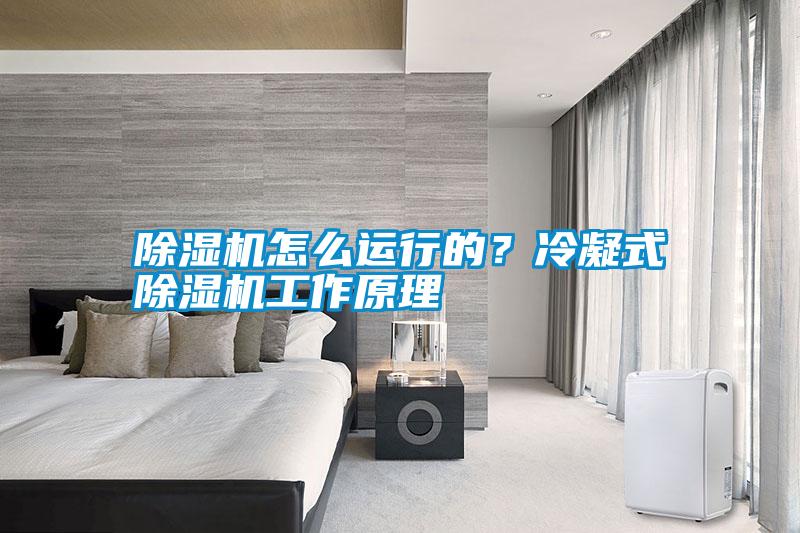 国产精品探花在线观看 除湿机怎么运行的？冷凝式除湿机工作原理