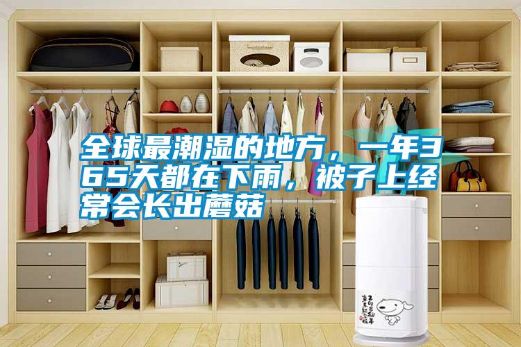 国产精品欧美激情视频 全球最潮湿的地方，一年365天都在下雨，被子上经常会长出蘑菇