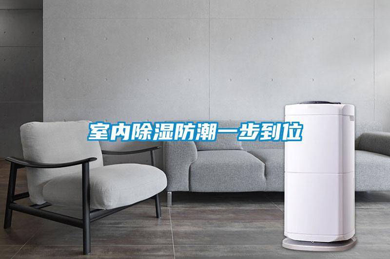 国产精品三级在线观看 室内除湿防潮一步到位