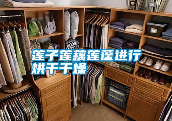 国产精品欧美激情视频 莲子莲藕莲蓬进行烘干干燥