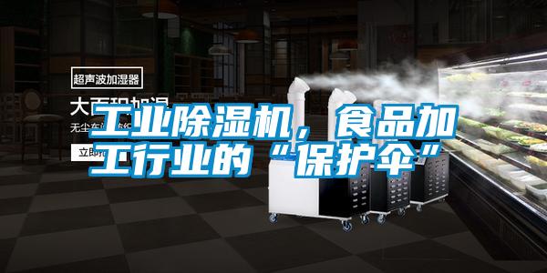 国产精品探花在线观看 工业除湿机，食品加工行业的“保护伞”