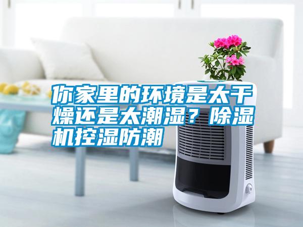 国产精品三级在线观看 你家里的环境是太干燥还是太潮湿？除湿机控湿防潮
