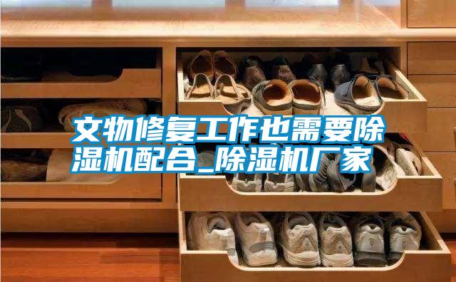 国产精品三级在线观看 文物修复工作也需要除湿机配合_除湿机厂家