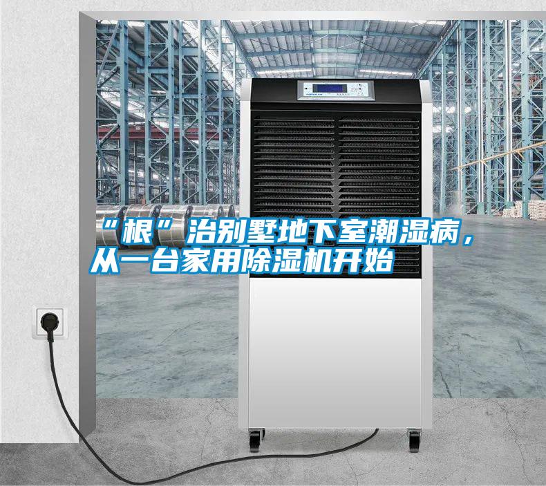国产精品三级在线观看 “根”治别墅地下室潮湿病，从一台家用除湿机开始