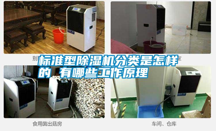 国产精品探花在线观看 标准型除湿机分类是怎样的 有哪些工作原理