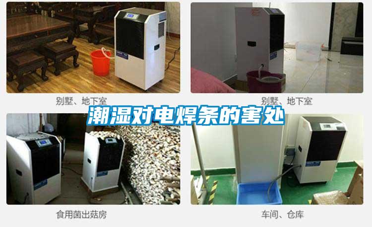 国产精品探花在线观看 潮湿对电焊条的害处