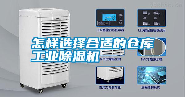 国产精品欧美激情视频 怎样选择合适的仓库工业除湿机
