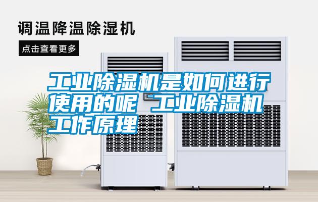 国产精品欧美激情视频 工业除湿机是如何进行使用的呢 工业除湿机工作原理