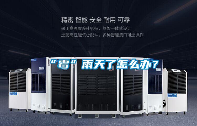 国产精品三级在线观看 “霉”雨天了怎么办？