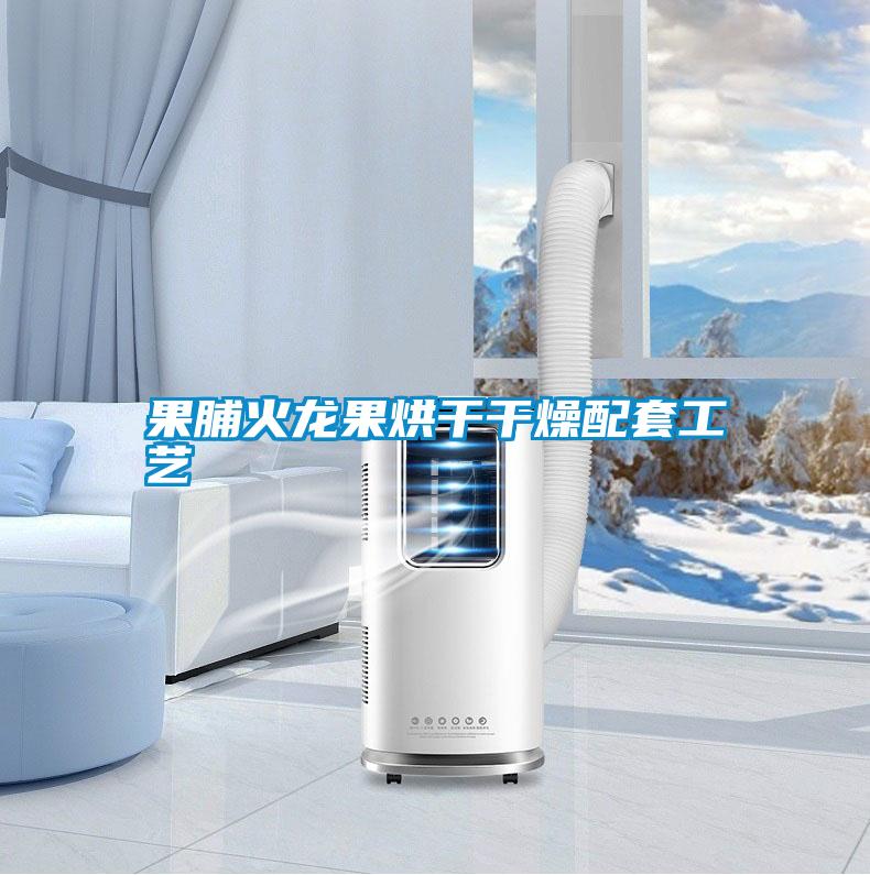 国产精品三级在线观看 果脯火龙果烘干干燥配套工艺