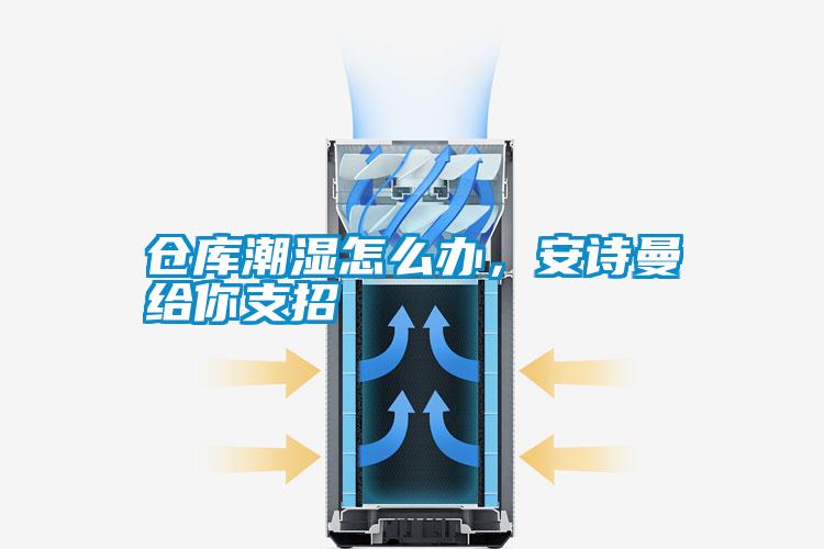 国产精品探花在线观看 仓库潮湿怎么办，安诗曼给你支招