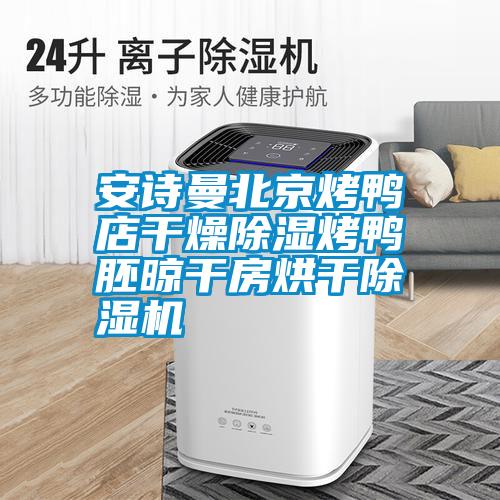 国产精品欧美激情视频 安诗曼北京烤鸭店干燥除湿烤鸭胚晾干房烘干除湿机